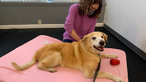 Acupetvet: Veterinary Rehabilitation & Acupuncture Clinic place picture